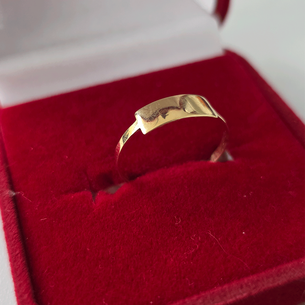 Anel Placa Lisa em ouro 18k - Personalizável