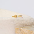 Anel Signo - Aquário em ouro 18k