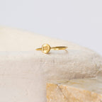 Anel Signo - Aquário em ouro 18k