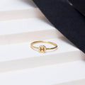 Anel Signo - Peixes em ouro 18k