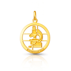 Pingente Profissões - Biomedicina em Ouro 18k