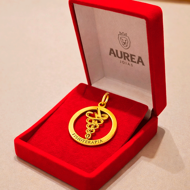 Pingente Profissões - Fisioterapia em Ouro 18k